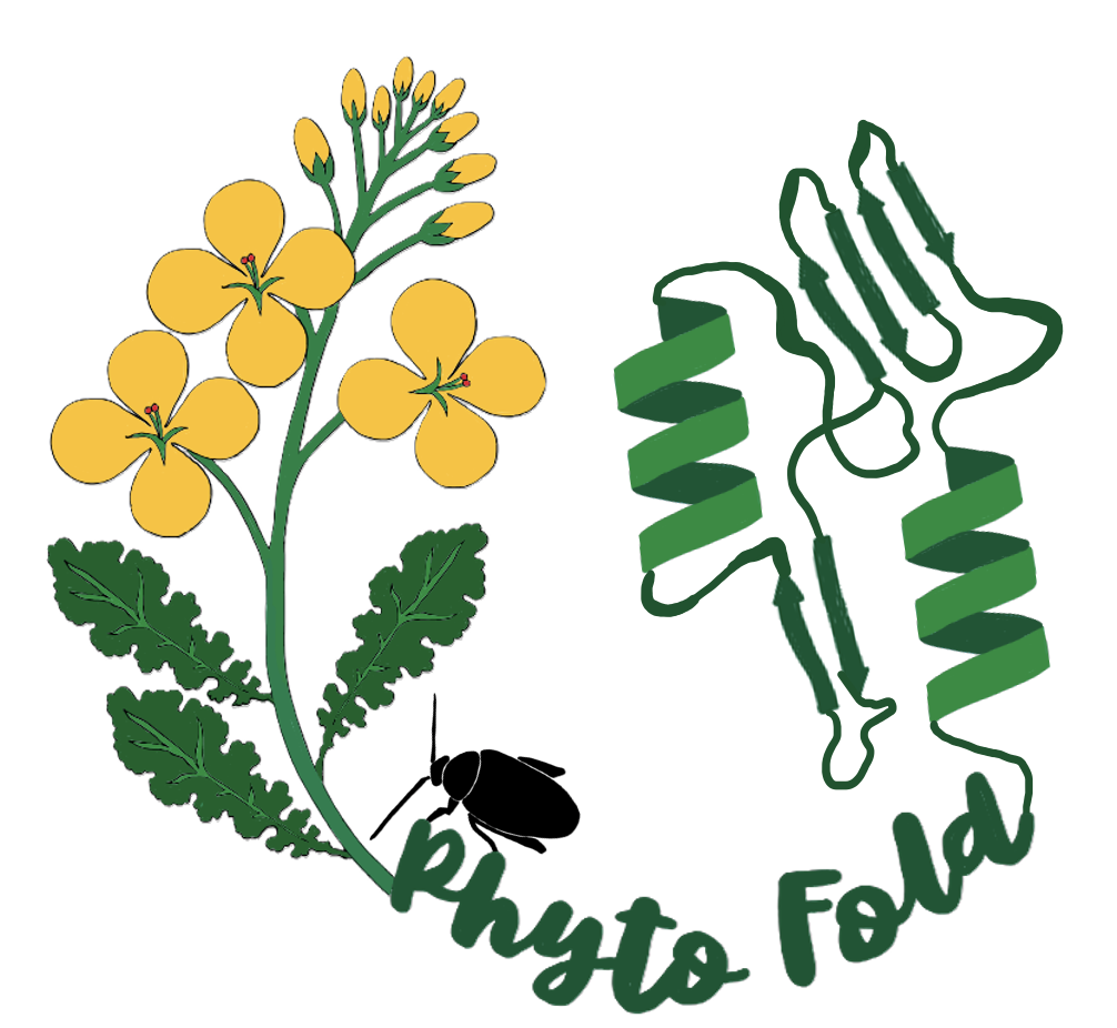 Phyto Fold